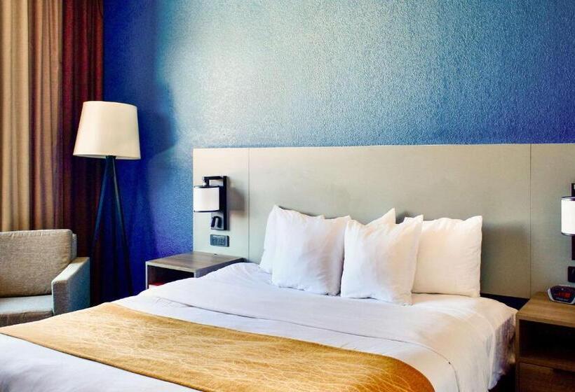 غرفة قياسية سرير كينج, Comfort Inn & Suites Cartersville   Emerson Lake Point