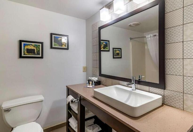 غرفه قياسيه سريرين مزدوجين, Comfort Inn & Suites Cartersville   Emerson Lake Point