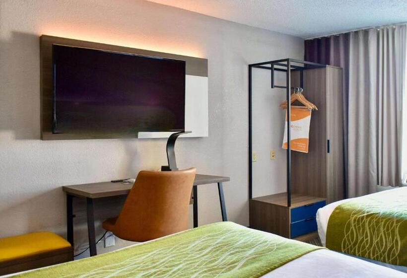 غرفه قياسيه سريرين مزدوجين, Comfort Inn & Suites Cartersville   Emerson Lake Point