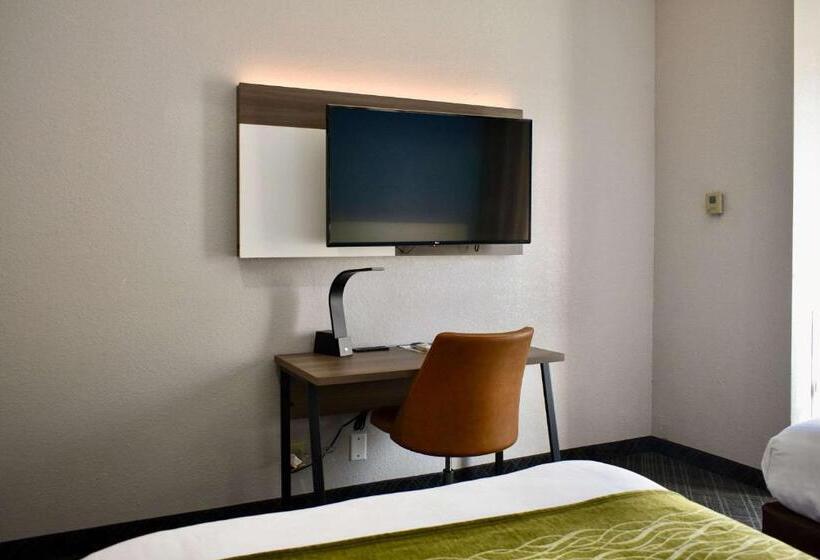 غرفه قياسيه سريرين مزدوجين, Comfort Inn & Suites Cartersville   Emerson Lake Point