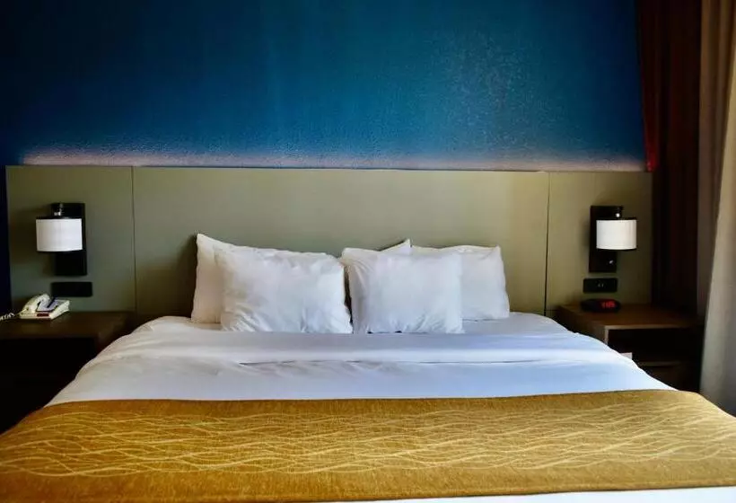 キングサイズベッドのスイートルーム, Comfort Inn & Suites Cartersville Emerson Lake Point