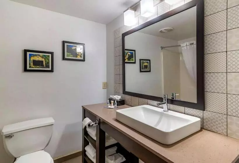 キングサイズベッドのスイートルーム, Comfort Inn & Suites Cartersville Emerson Lake Point