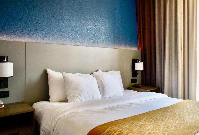 스위트 킹사이즈 침대, Comfort Inn & Suites Cartersville   Emerson Lake Point