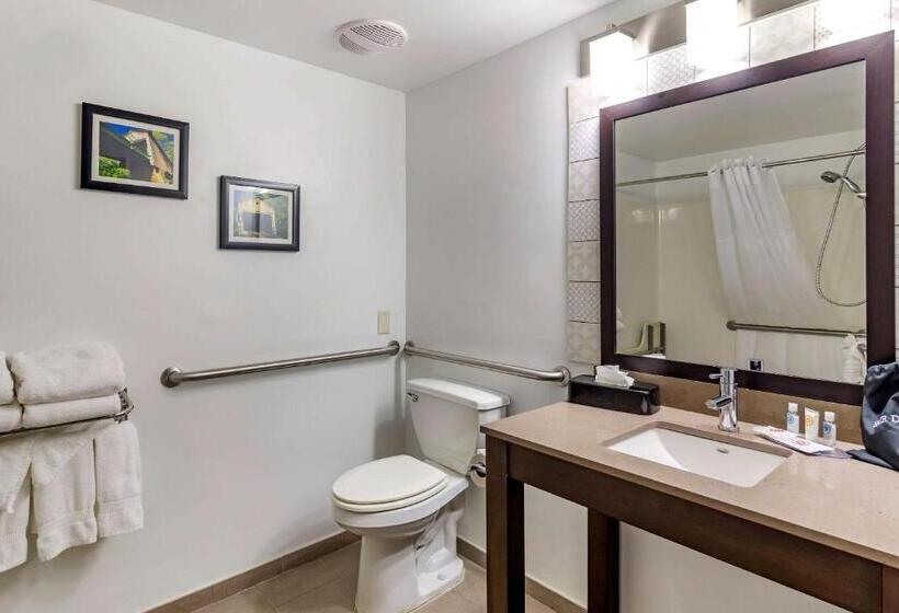 غرفة قياسية سرير كينج لذوى الإحتياجات الخاصة, Comfort Inn & Suites Cartersville   Emerson Lake Point