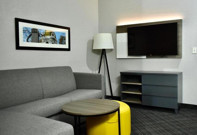 جناح لذوى الاحتياجات الخاصة, Comfort Inn & Suites Cartersville   Emerson Lake Point