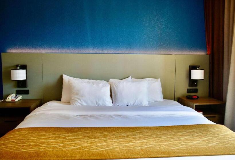 جناح لذوى الاحتياجات الخاصة, Comfort Inn & Suites Cartersville   Emerson Lake Point