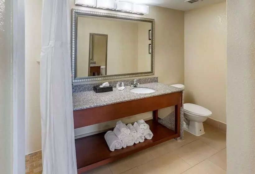 スイート, Comfort Inn & Suites