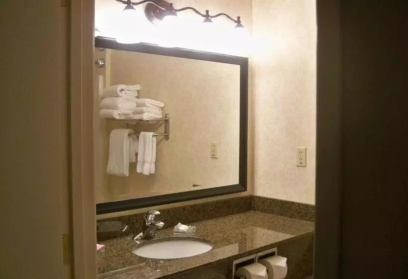 اتاق استاندارد, Country Inn & Suites By Radisson, Billings, Mt