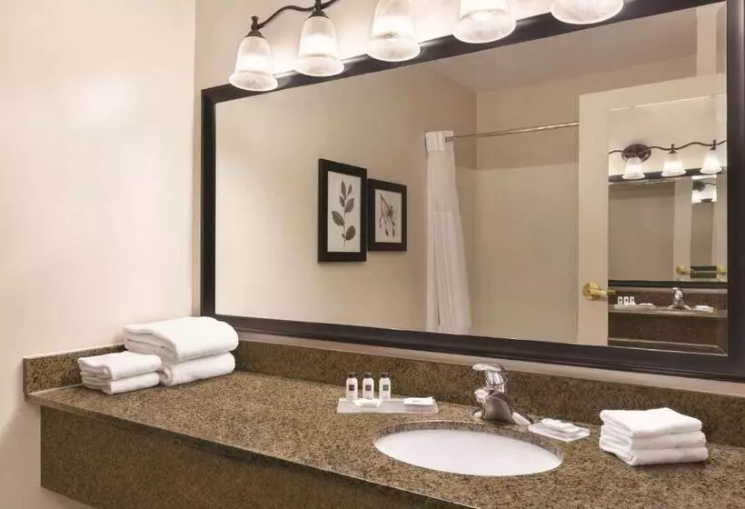 سوئیت با تخت بزرگ, Country Inn & Suites By Radisson, Billings, Mt
