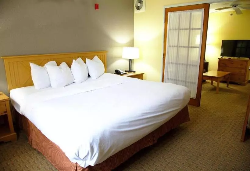 Sviitti King-vuode, Country Inn & Suites By Radisson, Bloomingtonnormal West, Il
