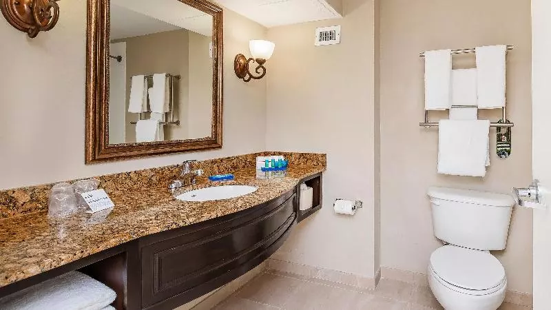 سوئیت با تخت بزرگ, Country Inn & Suites By Radisson, Green Bay, Wi