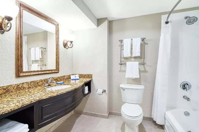 سوئیت با تخت بزرگ, Country Inn & Suites By Radisson, Green Bay, Wi