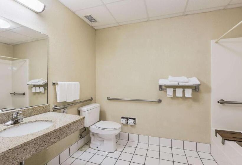 غرفة قياسية لذوى الاحتياجات الخاصة, Econo Lodge Inn And Suites