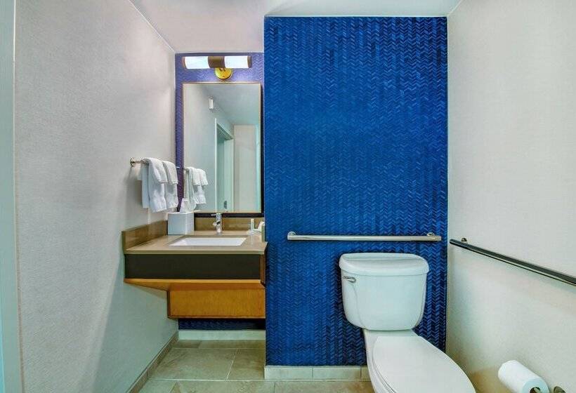 スイート, Fairfield Inn & Suites By Marriott Cortland