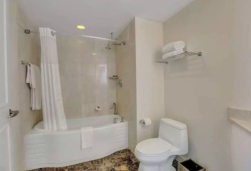 استودیوی لوکس, Hilton Bentley Miami/south Beach