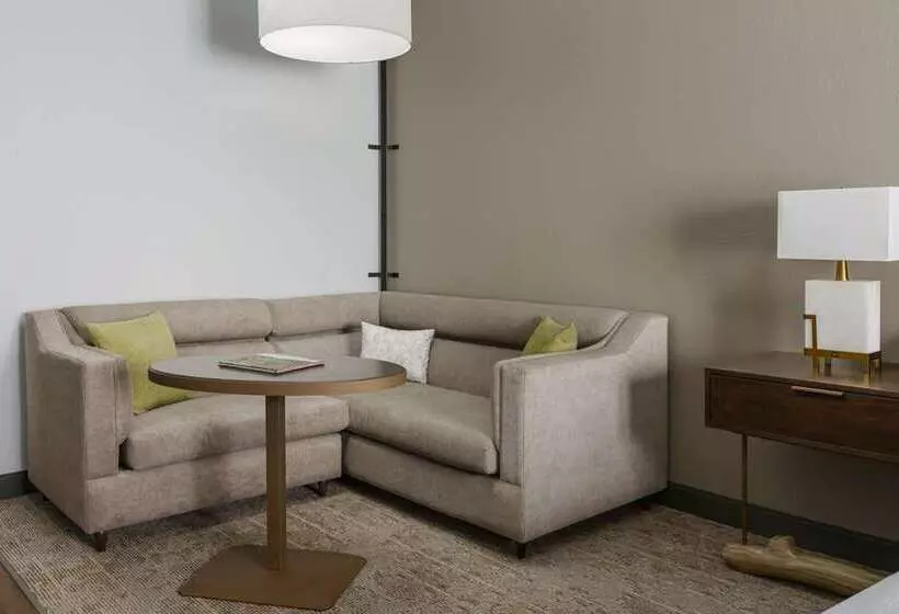 استودیوی لوکس, Hilton Bentley Miami/south Beach