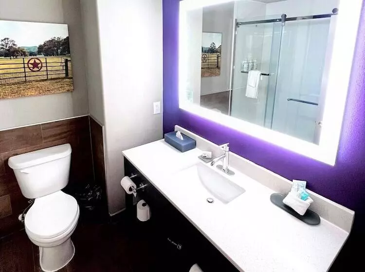 デラックスルーム, La Quinta By Wyndham Pharr North Mcallen
