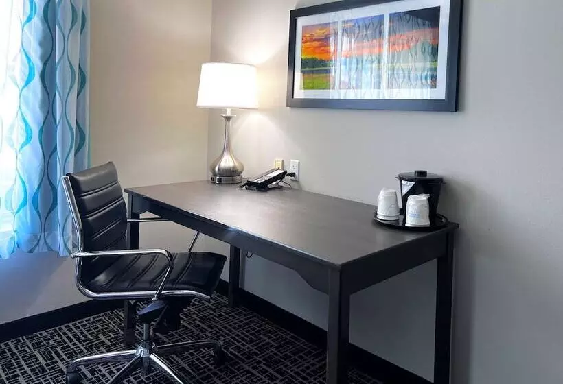 デラックスルーム, La Quinta By Wyndham Pharr North Mcallen