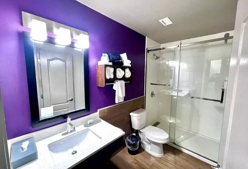 １ベッドルームアパートメント, La Quinta By Wyndham Pharr North Mcallen