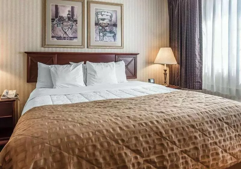 キングサイズベッドのスイートルーム, The Marx Hotel   Downtown   University Area