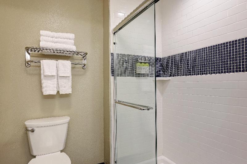 스탠다드 룸, Holiday Inn Express & Suites Chicago Matteson By Ihg