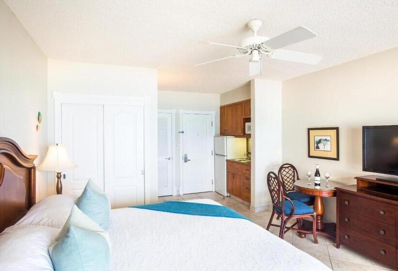 استودیوی استاندارد با چشم‌انداز دریا, Royal West Indies