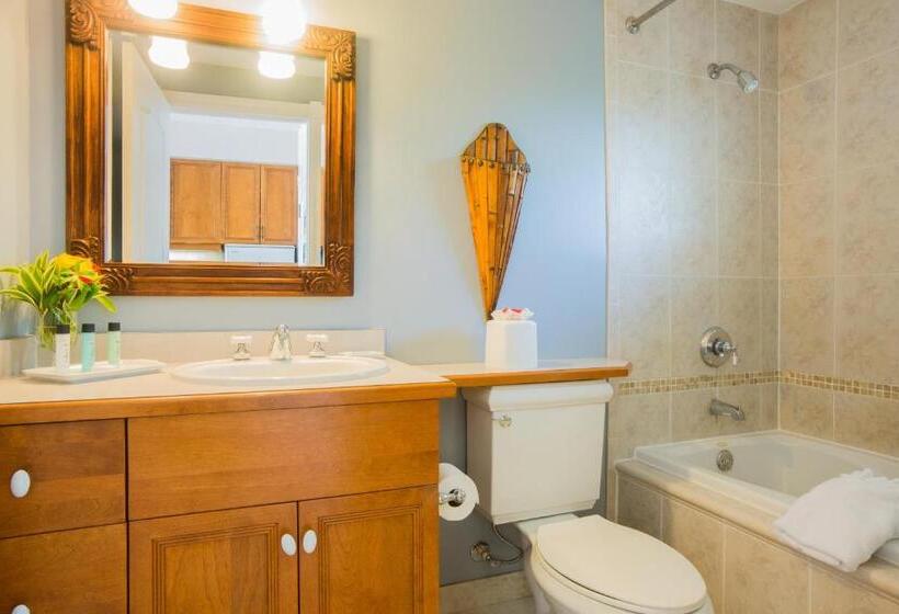 استودیوی استاندارد با چشم‌انداز دریا, Royal West Indies