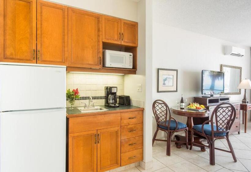 استودیوی استاندارد با چشم‌انداز دریا, Royal West Indies