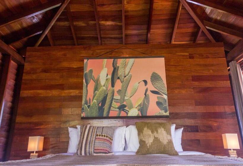 带大床的复式套间, Catalina S Hideaway