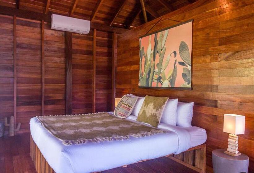 디럭스 스위트 킹 침대, Catalina S Hideaway