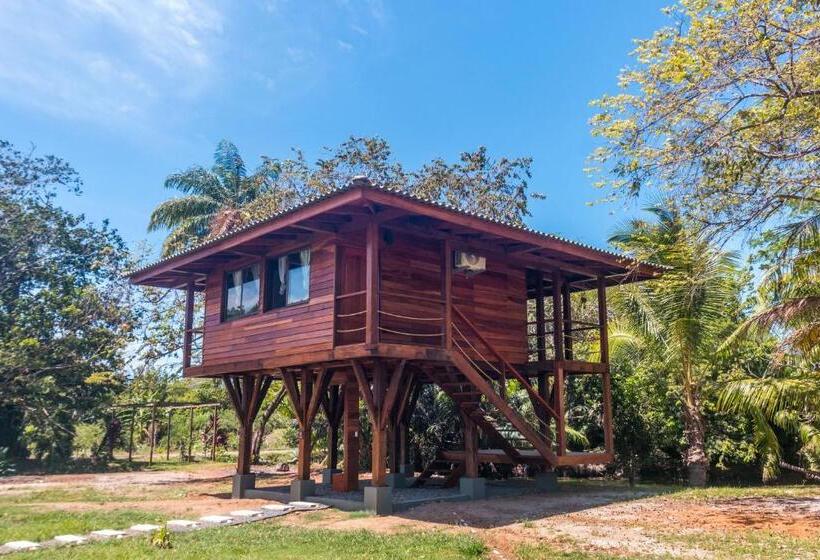 带大床的复式套间, Catalina S Hideaway