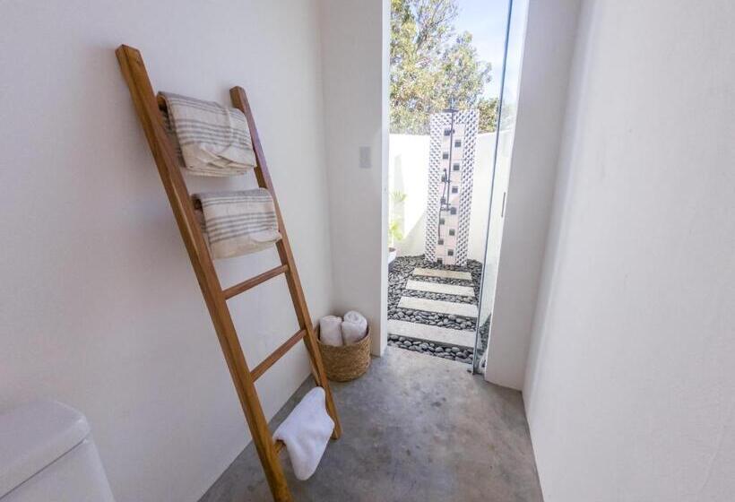수피리어 스튜디오, Catalina S Hideaway