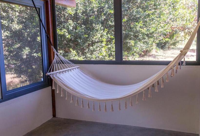 高级工作室, Catalina S Hideaway