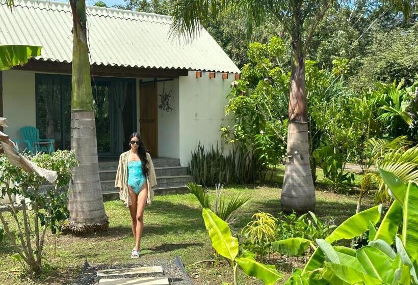 带园景的小型套房, Catalina S Hideaway