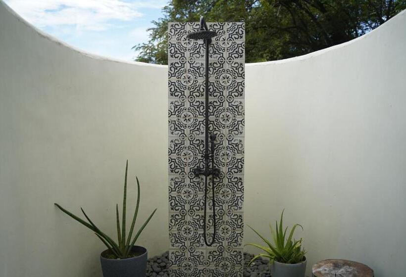 高级工作室, Catalina S Hideaway