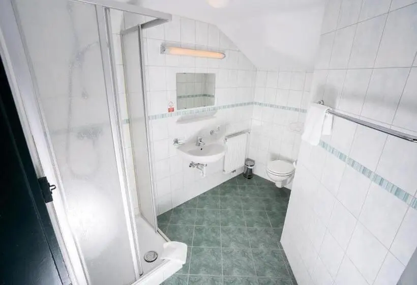 اتاق استاندارد با سرویس بهداشتی مشترک, Das Cityhouse