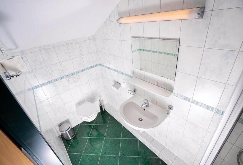 Номер Стандарт с Балконом, Das Cityhouse