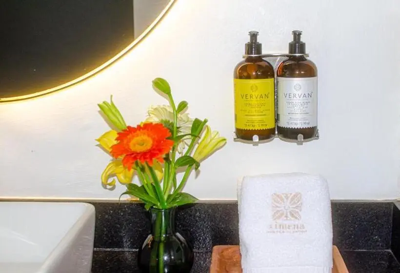 キングサイズベッドのスタンダードルーム, Ximena Hotel Boutique
