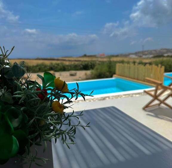 스탠다드 룸 퀸사이즈 침대, Aegean Hospitality