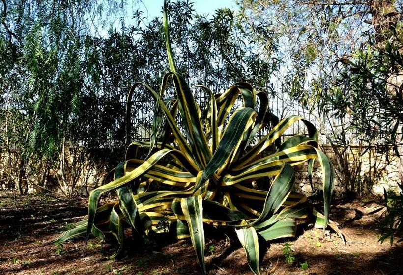 חדר סטנדרט לשלושה, Agriturismo Caranna