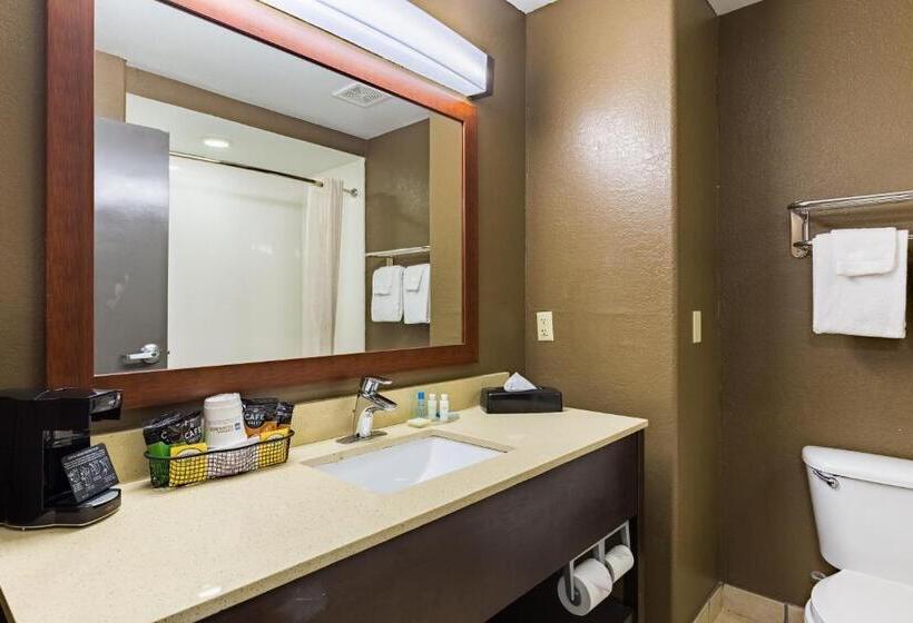 Номер Стандарт, Best Western Northwest Corpus Christi Inn & Suites