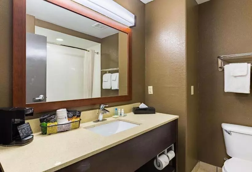 اتاق استاندارد, Best Western Northwest Corpus Christi Inn & Suites