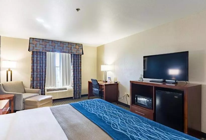 اتاق استاندارد با تخت بزرگ, Best Western Northwest Corpus Christi Inn & Suites