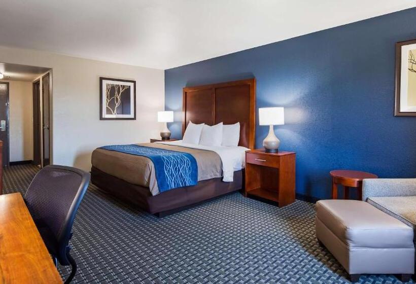 اتاق استاندارد با تخت بزرگ, Best Western Northwest Corpus Christi Inn & Suites