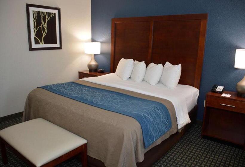חדר סטנדרט עם מיטת קינג, Best Western Northwest Corpus Christi Inn & Suites