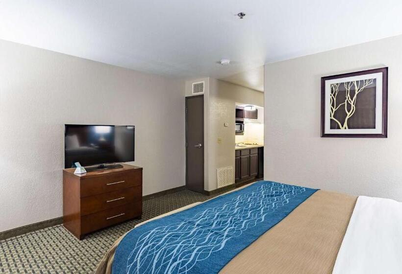 Люкс Кровать Кинг, Best Western Northwest Corpus Christi Inn & Suites