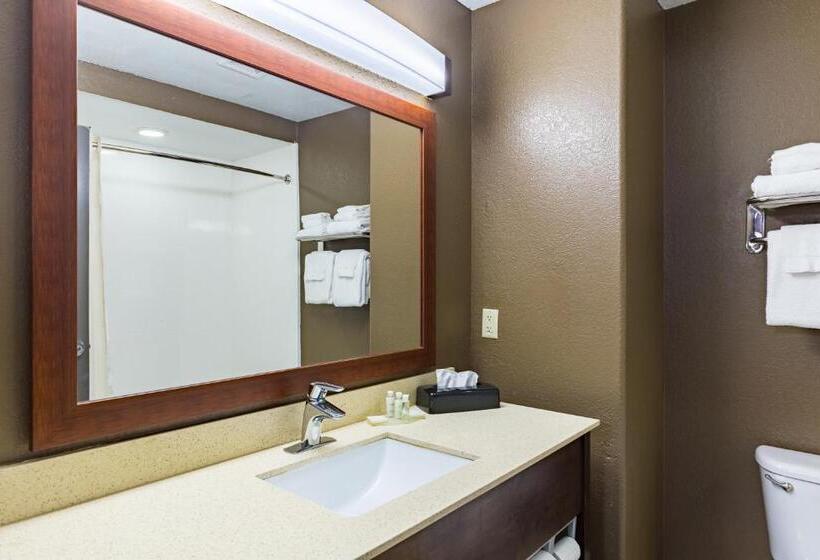 חדר סטנדרט, מיטת קינג, מותאם לאדם עם מוגבלויות, Best Western Northwest Corpus Christi Inn & Suites