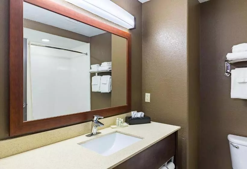 اتاق استاندارد با تخت بزرگ برای معلولان, Best Western Northwest Corpus Christi Inn & Suites