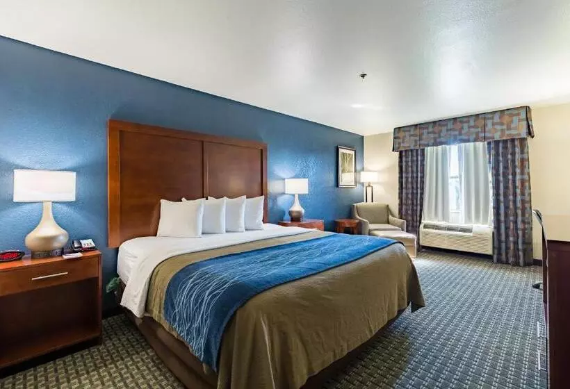 اتاق استاندارد با تخت بزرگ برای معلولان, Best Western Northwest Corpus Christi Inn & Suites