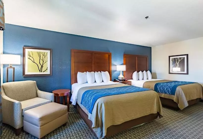 اتاق استاندارد برای معلولان, Best Western Northwest Corpus Christi Inn & Suites